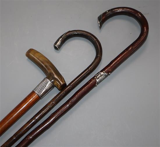 A horn handled and two other silver mounted walking canes